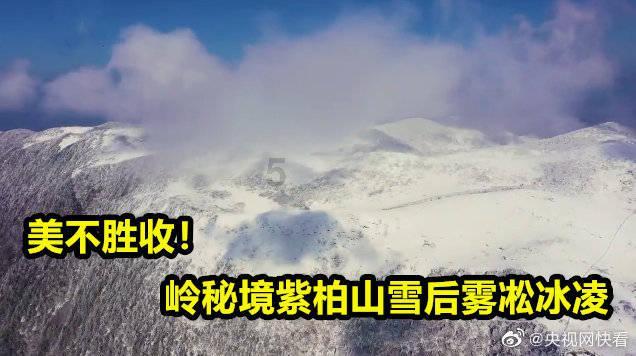 调兵遣将三军混战