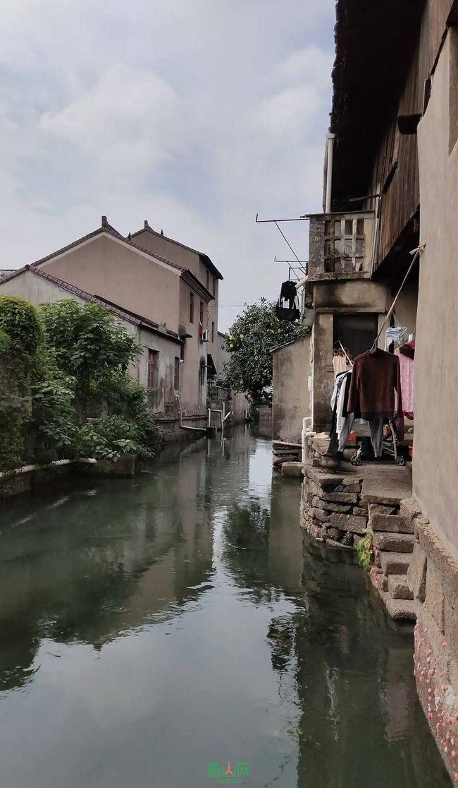 逃离冰淇淋岛屿